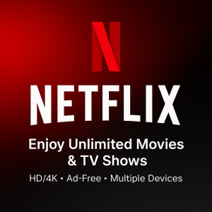 Netflix Subscription